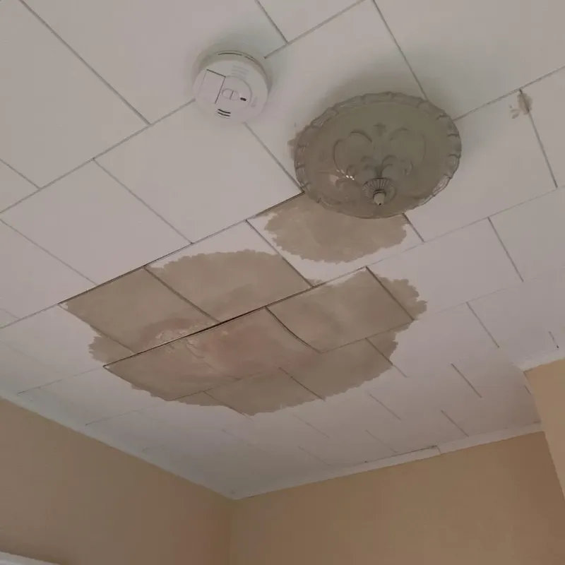 Ceiling Water Damage Repair in City of Newport News, VA