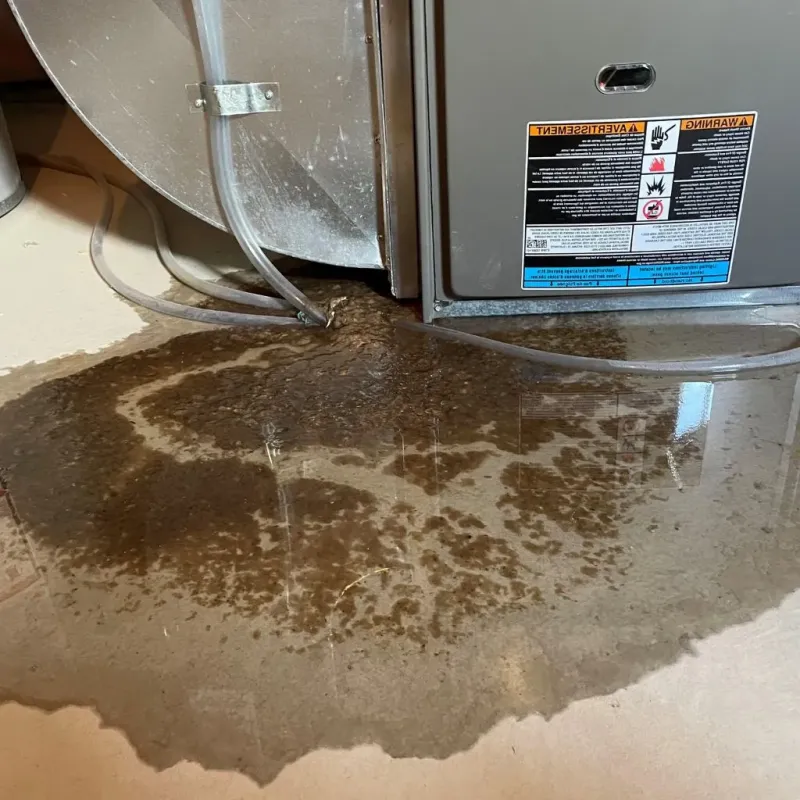Pipe Burst and Leak Restoration in City of Newport News, VA