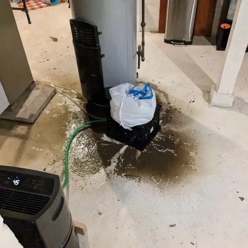 Sewage Backup Cleanup Service in City of Newport News, VA